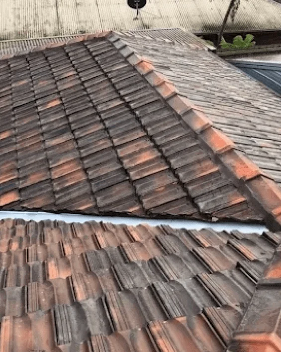Roof Restoration Service